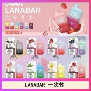 LANA BAR可充电一次性電子煙霧化5000口(3.0%)